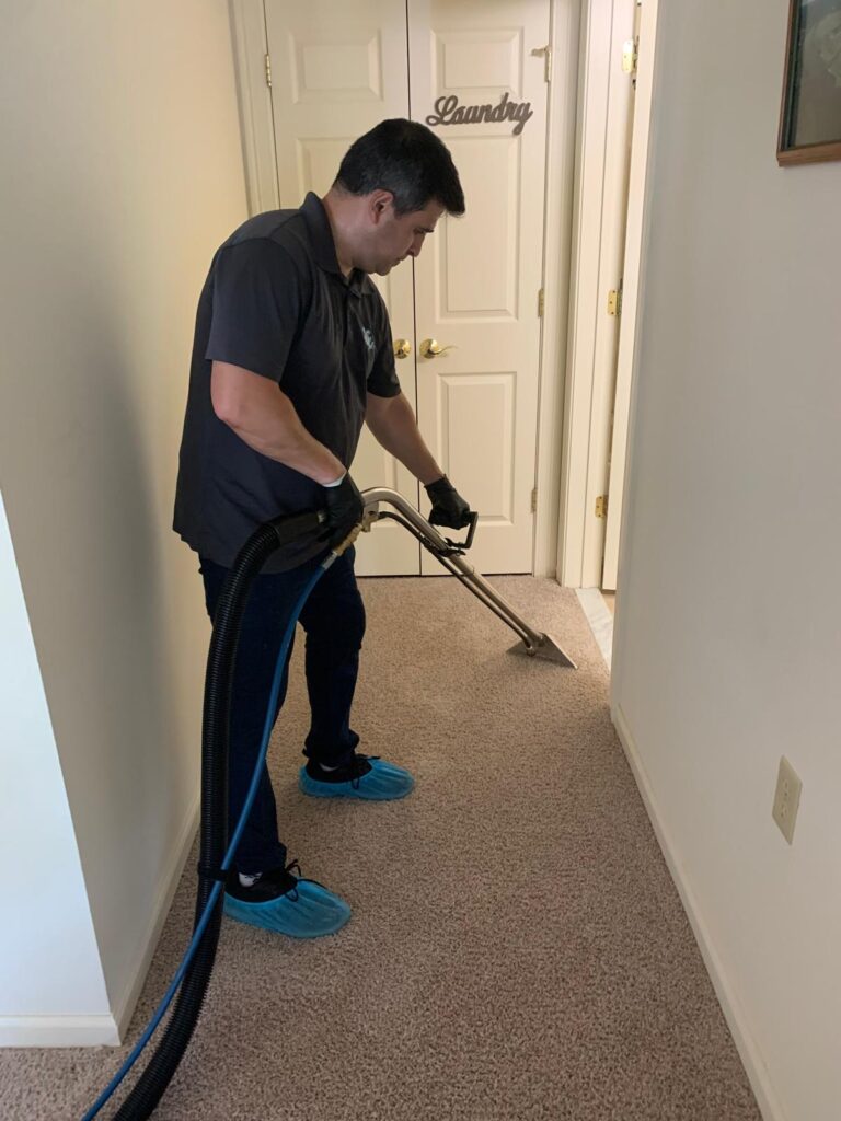 carpet cleaning