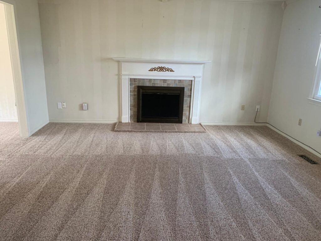 carpet cleaning
