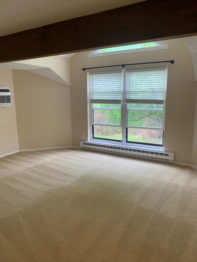 Carpet Cleaning