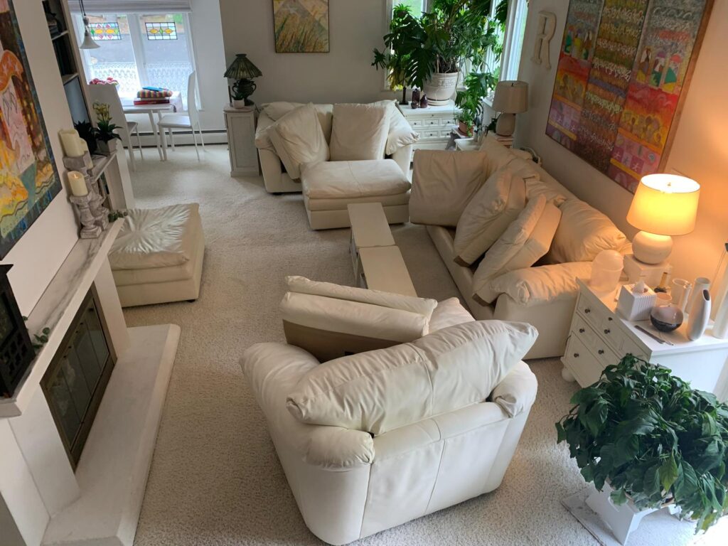 Sofa cleaning