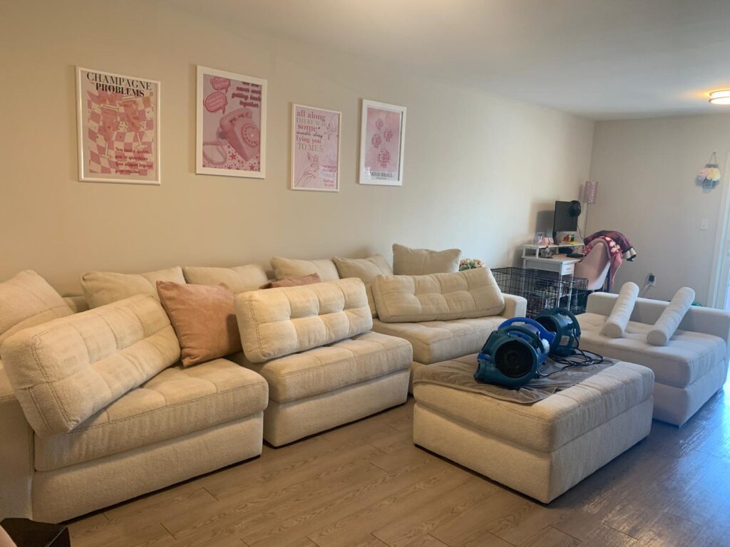 sofa cleaning
