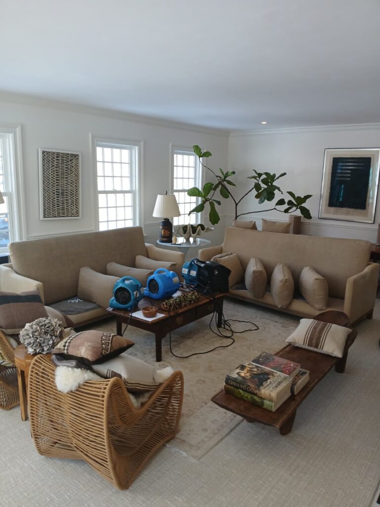 Sofa Cleaning